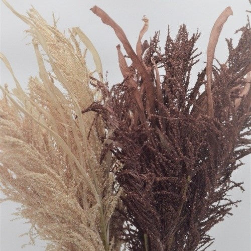 Delicate floral display of leaves and grasses