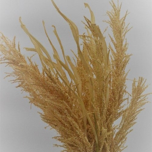 Delicate floral display of leaves and grasses
