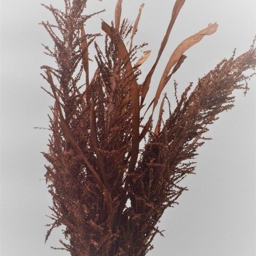 Delicate floral display of leaves and grasses