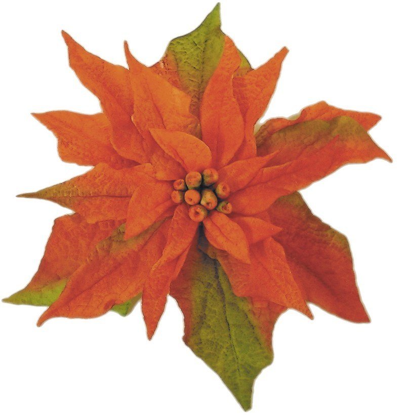 FMM 7 Piece Poinsettia Cutters